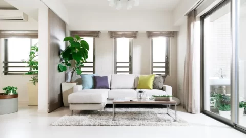 ホームページを開設しました